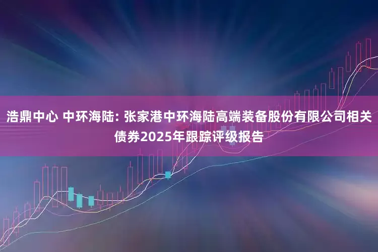 浩鼎中心 中环海陆: 张家港中环海陆高端装备股份有限公司相关债券2025年跟踪评级报告