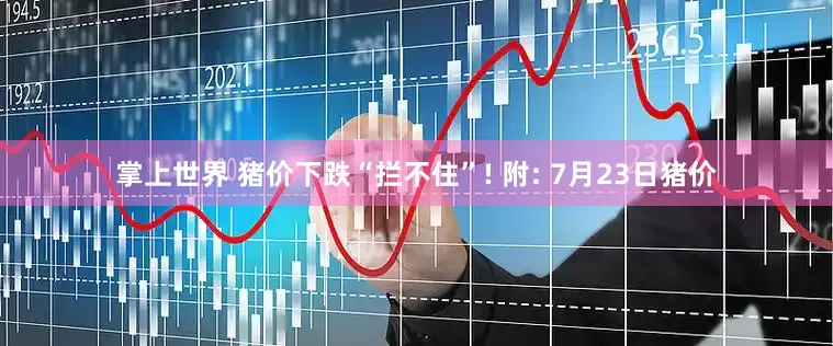 掌上世界 猪价下跌“拦不住”! 附: 7月23日猪价
