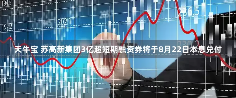 天牛宝 苏高新集团3亿超短期融资券将于8月22日本息兑付