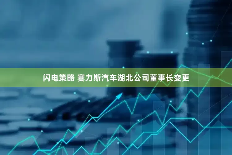 闪电策略 赛力斯汽车湖北公司董事长变更