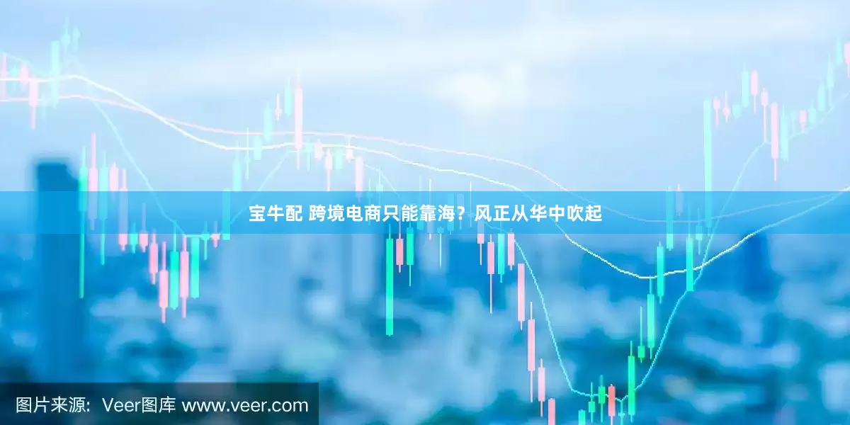 宝牛配 跨境电商只能靠海？风正从华中吹起