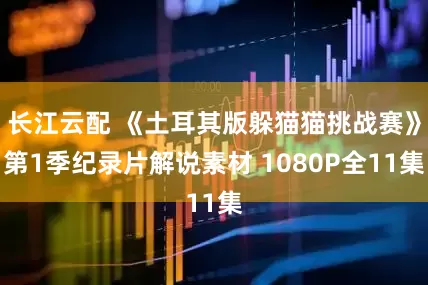 长江云配 《土耳其版躲猫猫挑战赛》第1季纪录片解说素材 1080P全11集