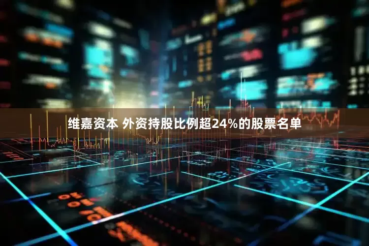 维嘉资本 外资持股比例超24%的股票名单